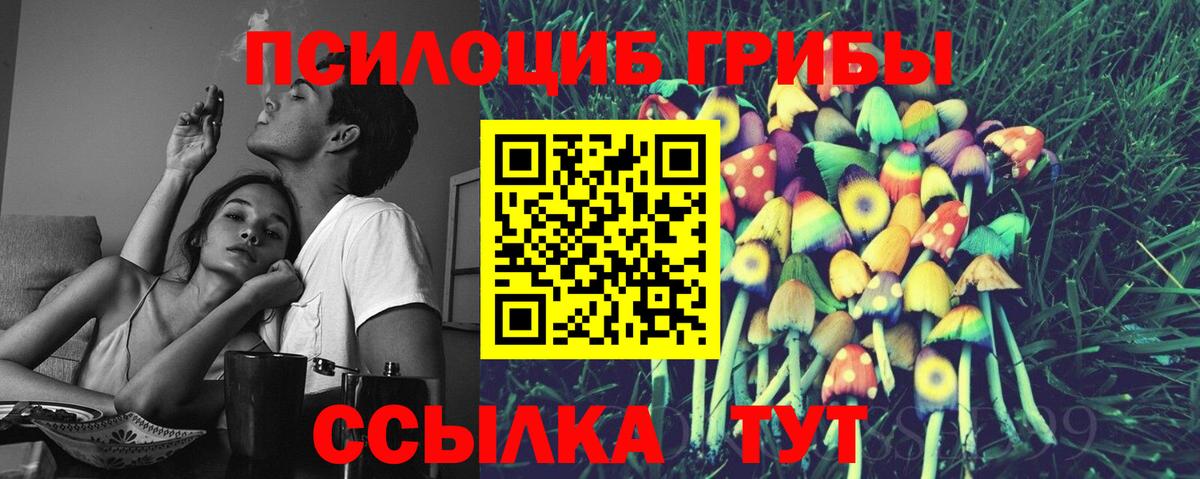 Галлюциногенные грибы Psilocybe  Вход с VPN  Псилоцибиновые грибы MAGIC MUSHROOMS  Глазов 
